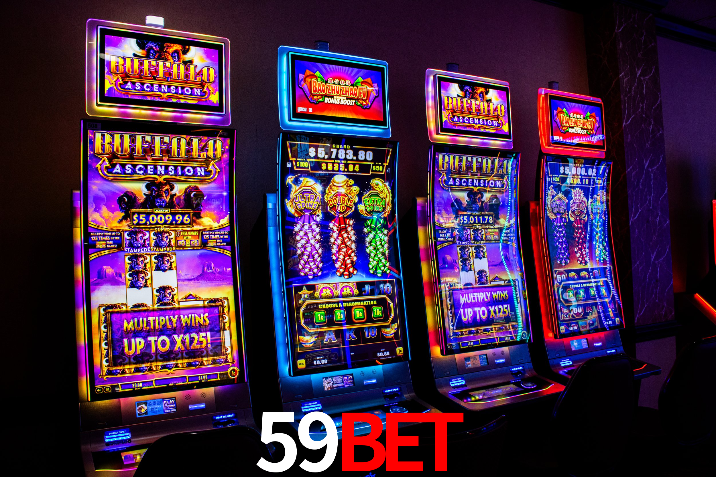 59bet: A Experiência de Casino com Jogos de Mesa ao Vivo